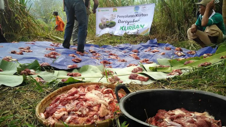 Yakesma Gandeng Lazdai Kirimkan Hewan Qurban Ke Pekon Umbar Tanggamus
