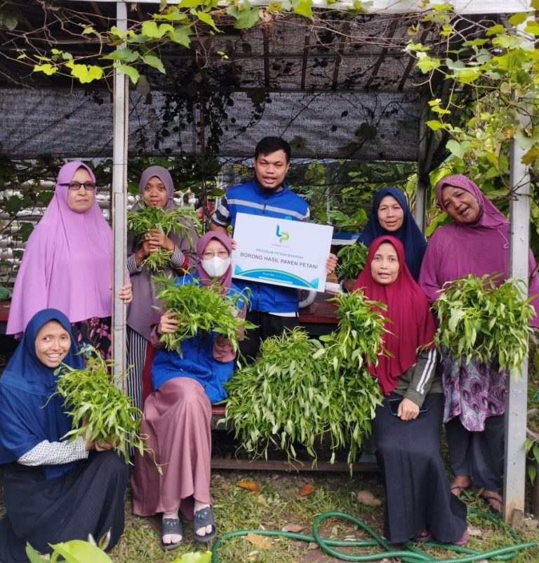 Lazdai Peduli Aksi Borong Hasil Panen Petani: Dukungan Aktif untuk Ketahanan Pangan Lokal