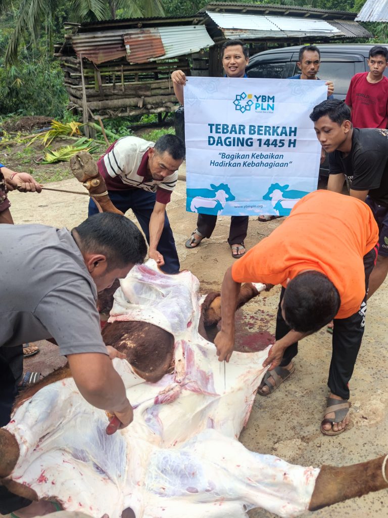 YBM PLN Bersinergi Bersama LAZDAI Peduli di Moment Qurban 2024